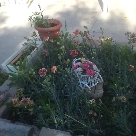 Kapetan Giannis 3*